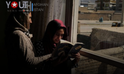 آموزش زنان؛ نیروی محرک توسعه پایدار و ثبات اجتماعی در کشور